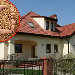 Czym ogrzewać stary dom? Oto rozwiązanie: pellet drzewny w dłoniach i nowoczesny dom z czerwonym dachem.